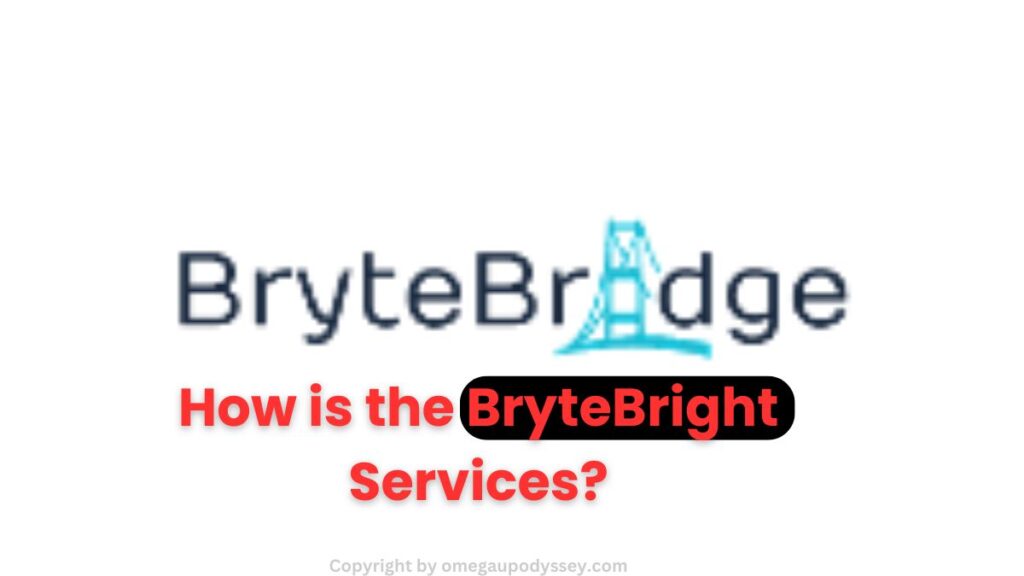 How is the BryteBright Services?